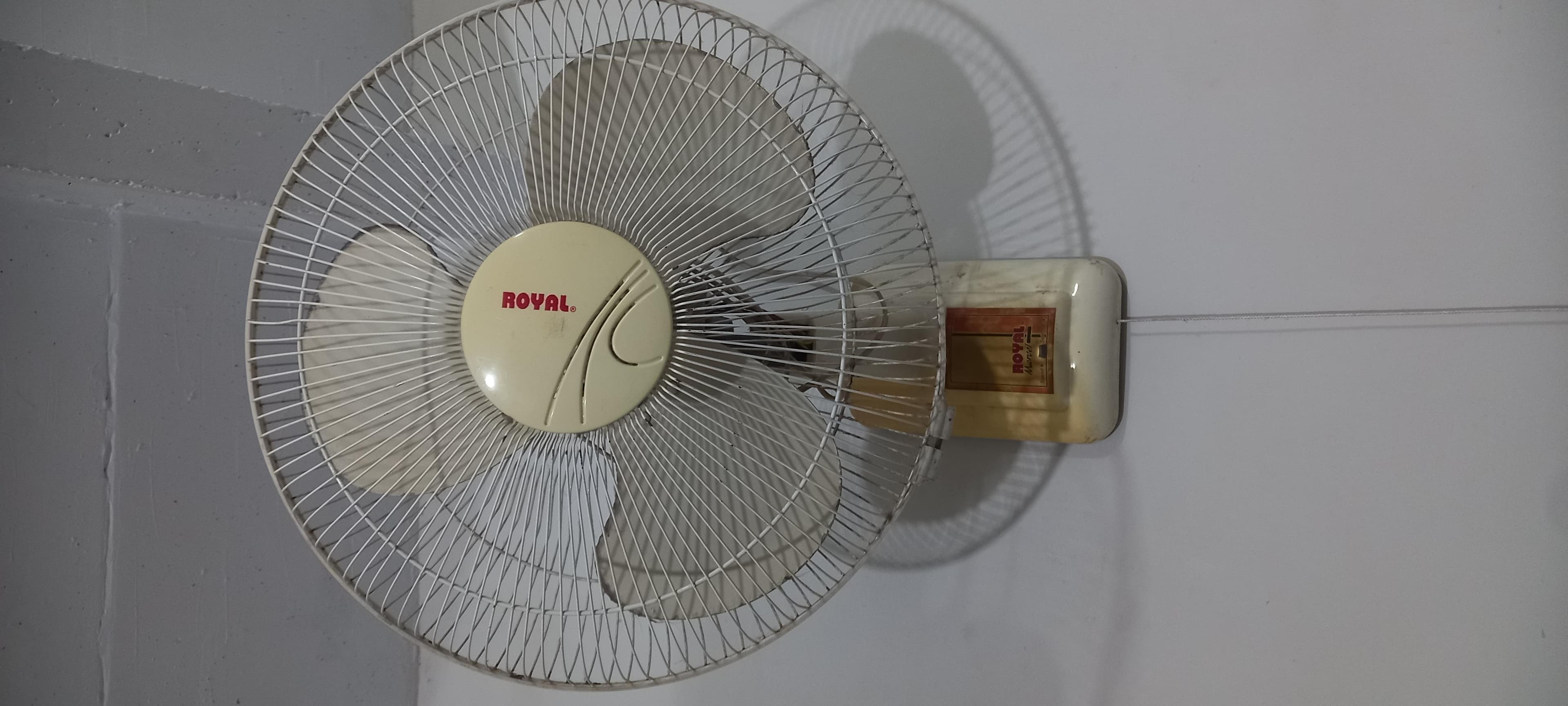 royal fan