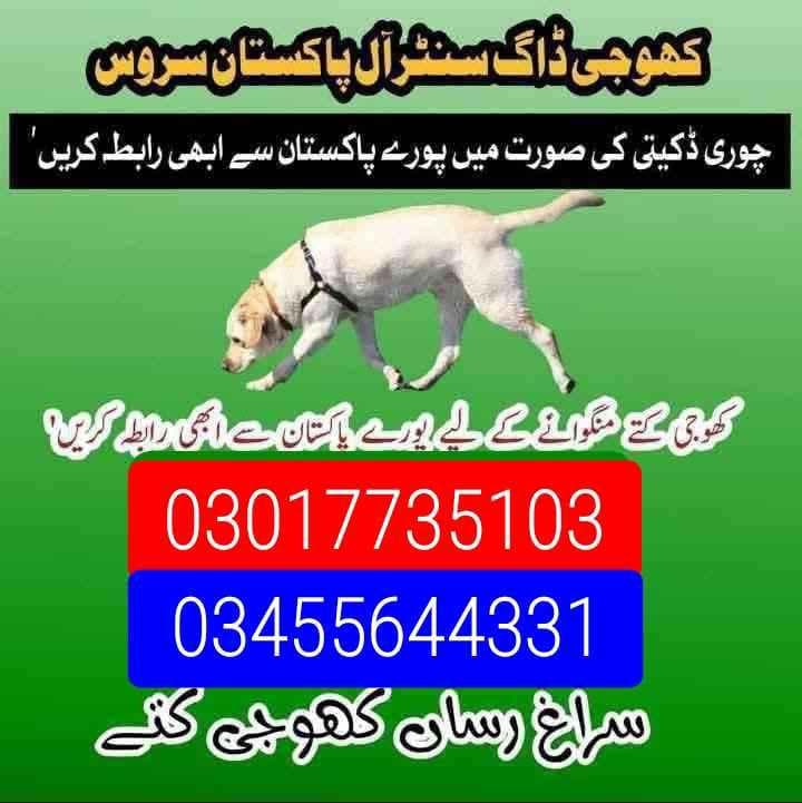 army dog center mirpur khas 03017735103