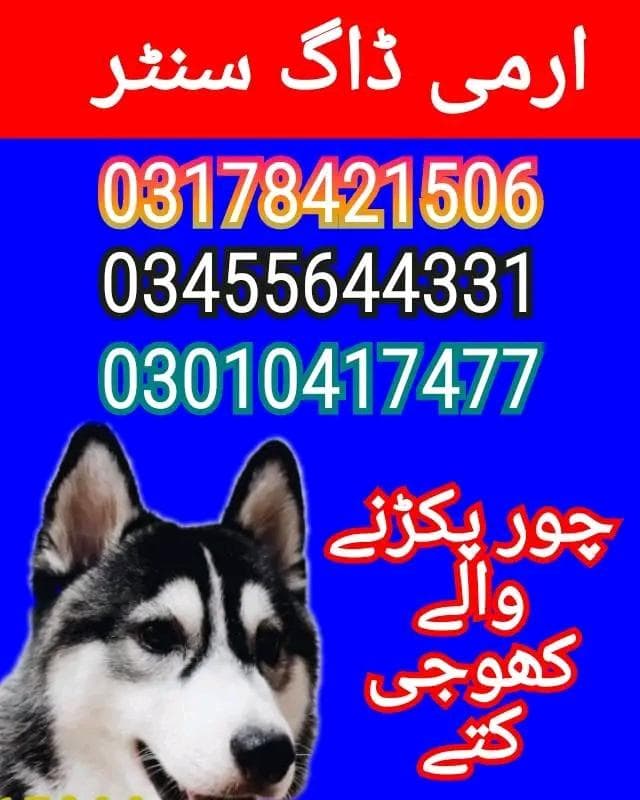 army dog center kpk 03010417477