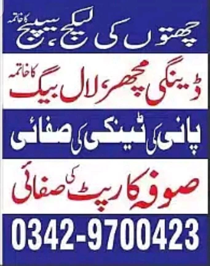 Capital home Careدیمک لال بیگ کا حاتمہپانی کی ٹینکی کی صفائیصوفہ کارپٹ کی صفائی چھتوں کی لیکیج سیپج کا حاتمہ03429700423